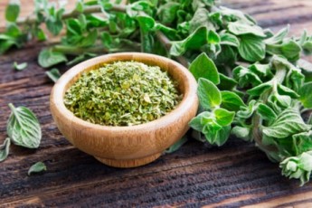 Oregano