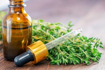 Thyme