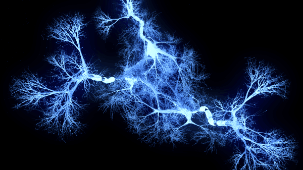 Use/ Brain