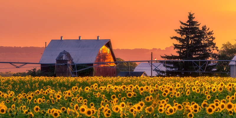 Wisconsin